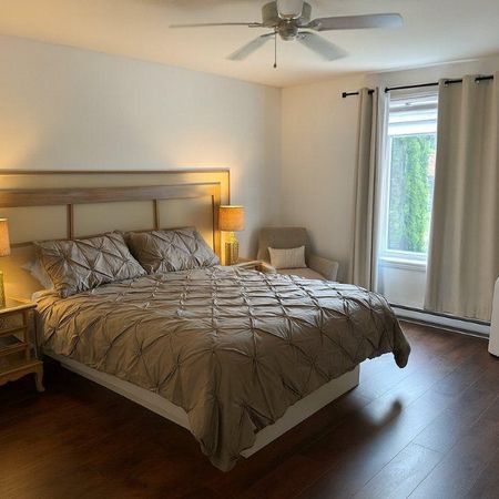MAGNIFIQUE 5 1/2 - ENTIÈREMENT RÉNOVÉ - TRIPLEX - Photo 3