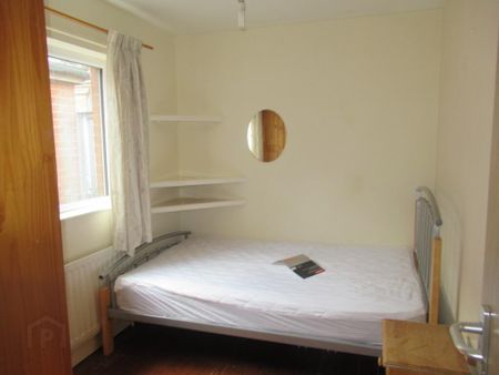 13 Palestine Street, Belfast, BT7 1QJ - Photo 4