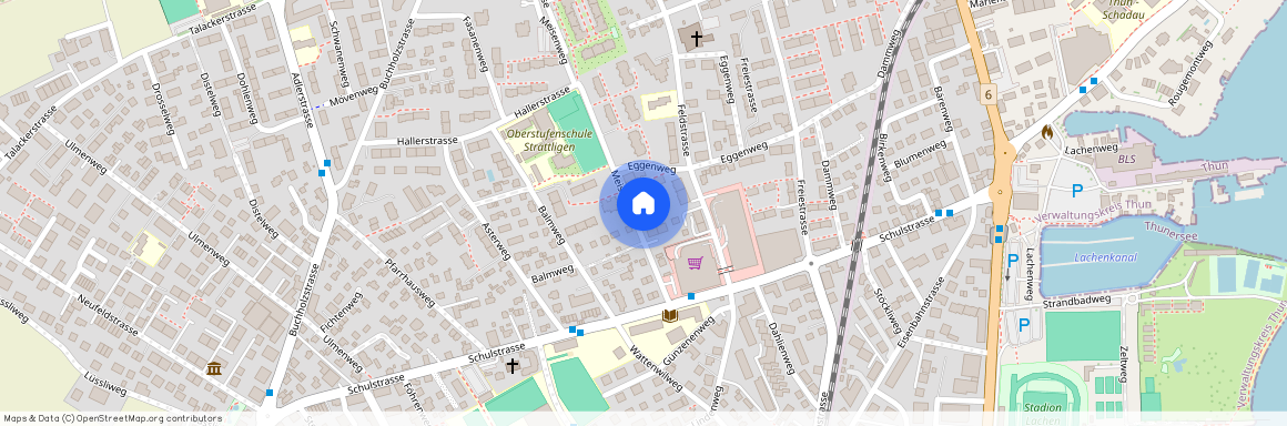 3604, Thun, Meisenweg, 12