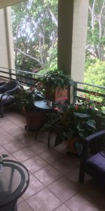 Abbotsford - Photo 4