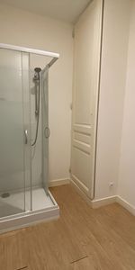 Location Appartement 2 pièces 48m² TOURS 37000 - Photo 4