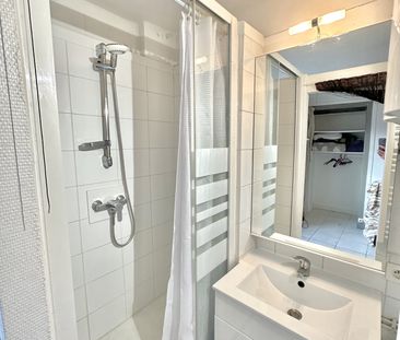 Location Appartement 1 pièce 15m² GRENOBLE 38000 - Photo 5