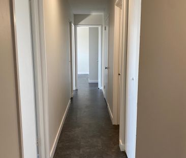 175 & 189 Lockwood Rd Albert Park South - Photo 5