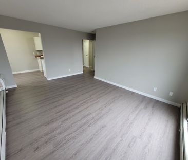 3609 Chaben Place - Photo 6