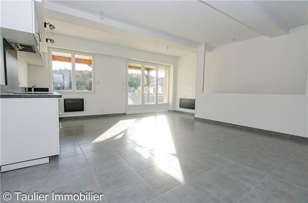 Location Appartement 3 pièces 105m² PONT EN ROYANS 38680 - Photo 1