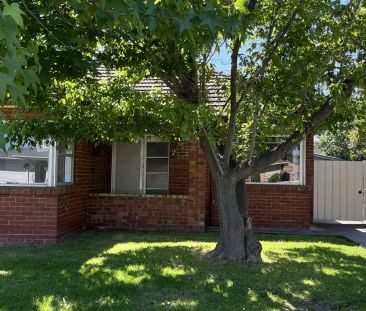 Huge yard great for family fun - Photo 6