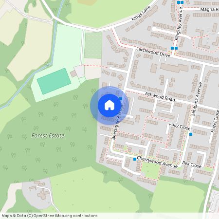 Beechtree Avenue, Englefield Green TW20
