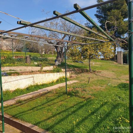 Μονοκατοικία για ενοικίαση Ραφήνα - Φωτογραφία 4
