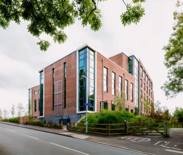 1 Bedroom, 1 Bathroom - Photo 3