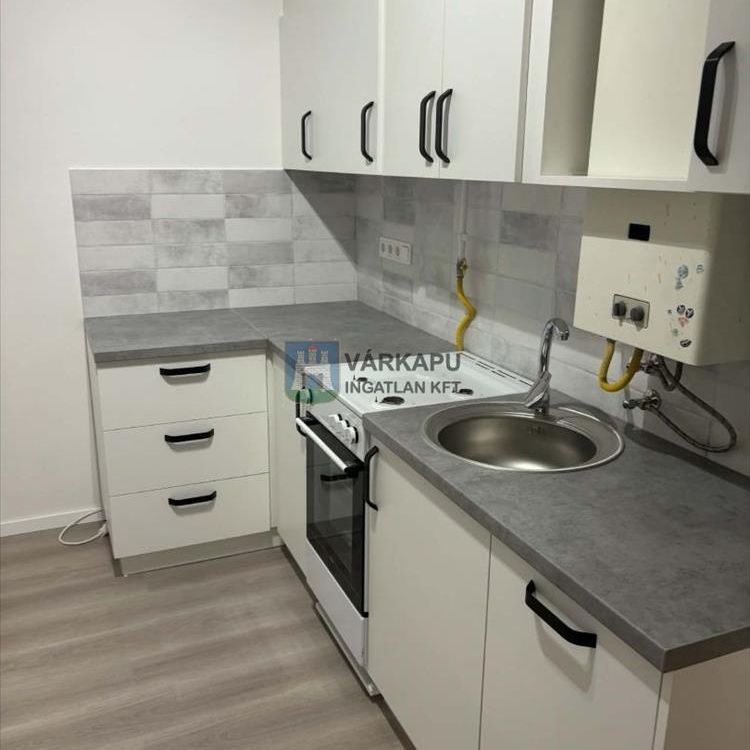 Kiadó felújított panel lakás - Székesfehérvár - Photo 1