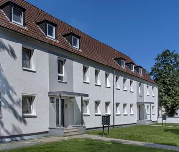 Demnächst frei! 2-Zimmer-Wohnung in Gelsenkirchen Scholven - Photo 1