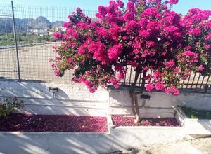 Μονοκατοικία για ενοικίαση - Κίσσαμος, - Photo 5