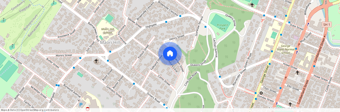 16 Chamberlain Street, Maori Hill