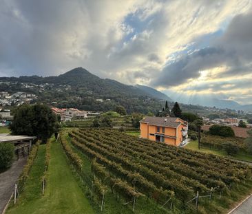 Bel 4.5 loc. in comodissima posizione tranquilla con vista sulle vigne - Photo 6