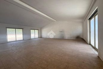 Capannone in affitto