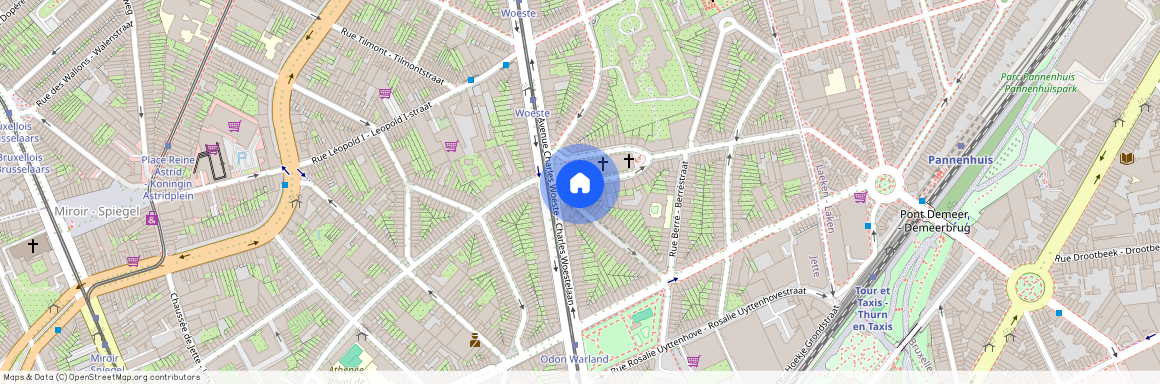 Avenue Notre-Dame de Lourdes, 1, 1090, Jette