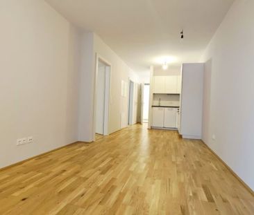 Kleine Gartenwohnung in Hirschstetten - Photo 3