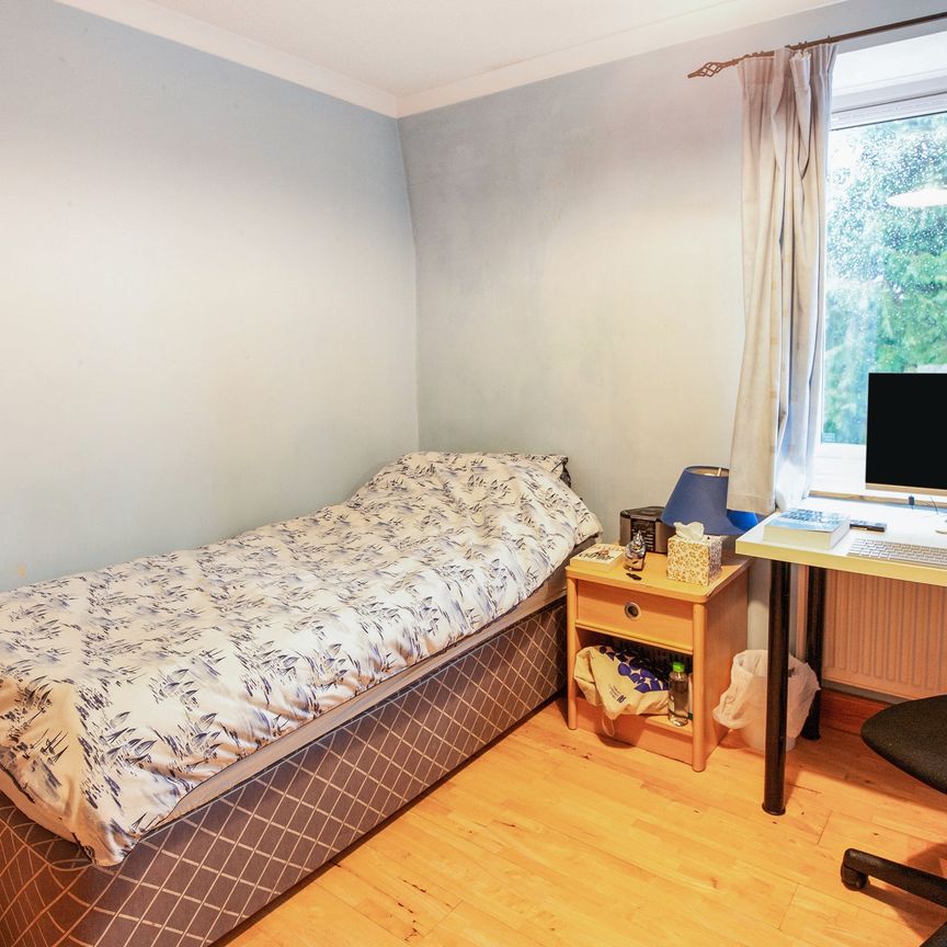 3 bedroom terraced to rent - Photo 1