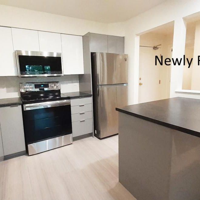 50 Barkton Lane - Photo 1