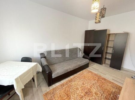 Garsoniera, pet friendly, 30 mp, zona Fabricii de Zahăr - Fotografie 3
