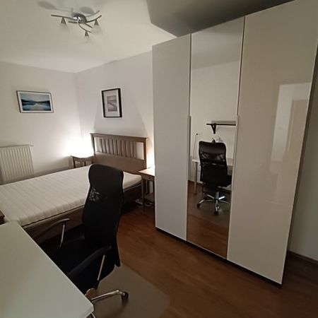 Dandár Park - Fotó 5