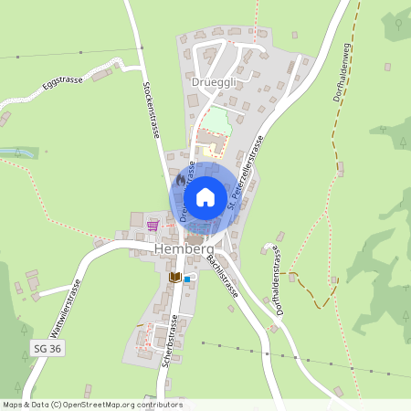 9633, Neckertal, St. Peterzellerstrasse, 9