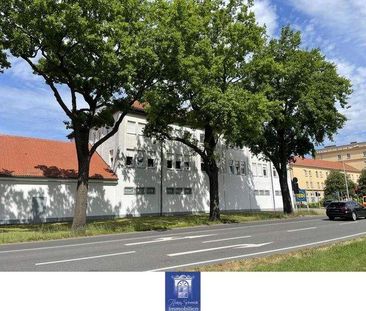 Perfekte 2-Zimmerwohnung mit großem Wohnzimmer und Duschbad in Senf... - Foto 6