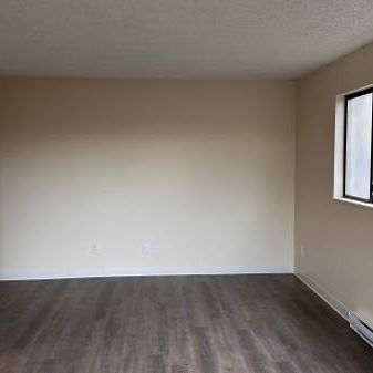 1-Bedroom Fully Renovated close to SkyTrain (Lougheed) - Photo 3