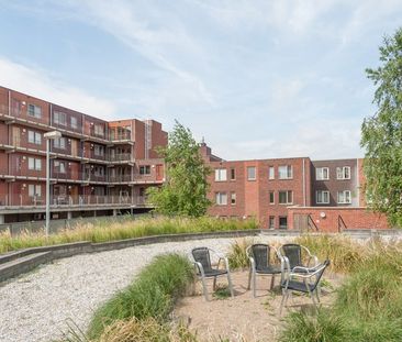 Belgiëstraat - Foto 6