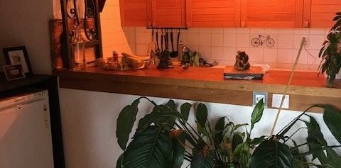 Appartement 3.5 pcs en vieille ville - Photo 2