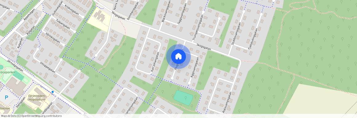 Flugsvampgatan, Färjestaden