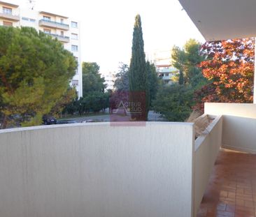 LOCATION APPARTEMENT 1 PIECE MONTPELLIER CENTRE LEPIC - Photo 1