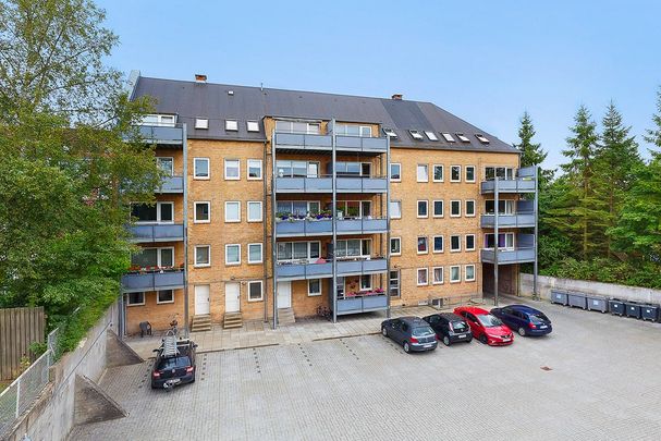 Afd. 14 Mariehøj - Foto 1