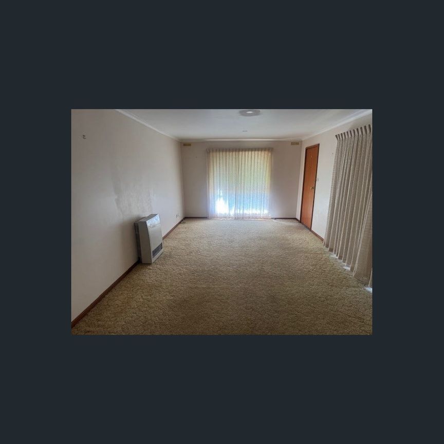 Spacious unit close to CBD - AVAILABLE NOW - Photo 1