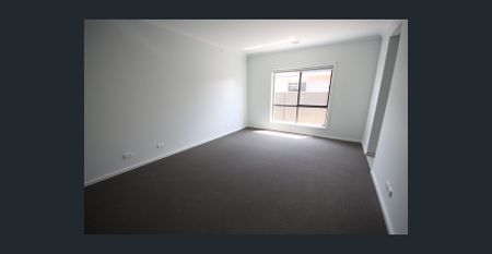 FAMILY HOME IN ALFREDTON CENTRAL NEAR SCHOOLS - Photo 5