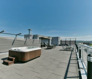 9950 Place de l'Acadie, app.377, H4N 0C9, Montréal - Photo 6