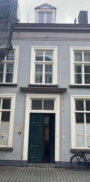 Te huur een leuk 2-kamer appartement in het centrum van Breda - Foto 1