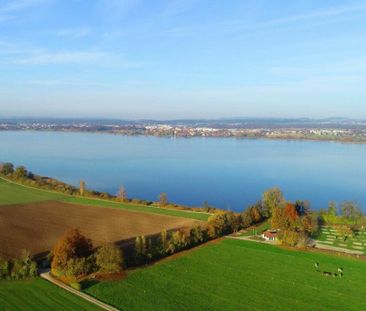 Petite oasis résidentielle près de Greifensee - calme et ensoleillé - Photo 6