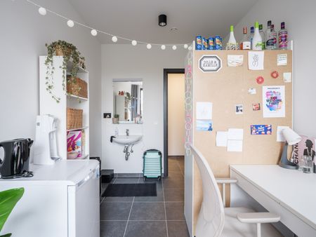 Kamer eigen douche - Brus­sels­epoort­straat 89 - Photo 5