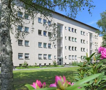 ANGEBOT Nr. 10 - Foto 1