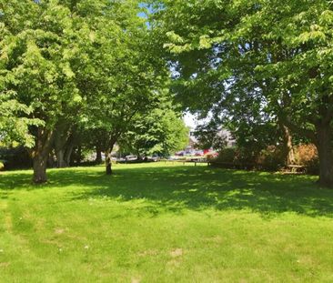 2 bedroom House To Let - Photo 6