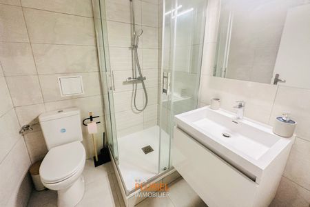 Magnifique Studio meublé 24.15m² Quartier Forêt Noire / Esplanade - Photo 5