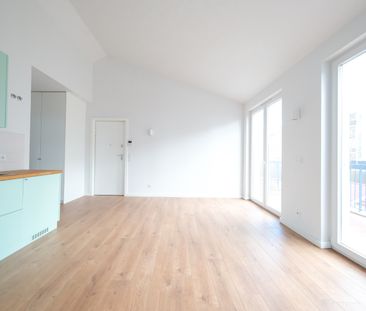 APARTAMENTO T1 EM CAMPO DE OURIQUE - Photo 2