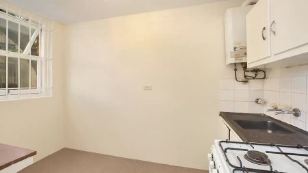 NEAT AND TIDY STUDIO IN CONVENIENT PADDINGTON LOCATION - Photo 4