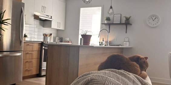 Beau Grand 4 1/2 à Louer - Photo 3