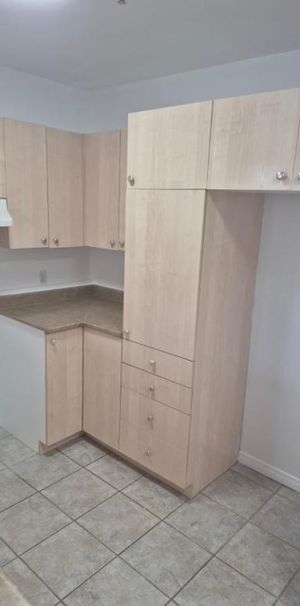 GRAND ET SUPERBE 4 1/2 Style Condo à LOUER au 1er juillet, avec Thermopompe neuve 2025. - Photo 1