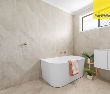 Modern Living with Pool & Huge Shed in Prime Wellington Point Location - Photo 3