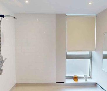 Cluster Accessible Studio - Photo 6