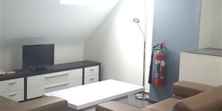 Studio met slaaphoek te huur in Leuven voor € 965 met 1 slaapkamer - Foto 2