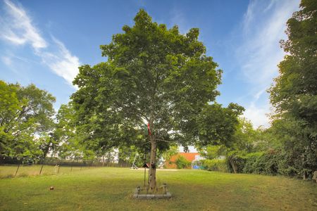 For Lease - 41 Hamilton Drive, Newmarket, Ontario - Photo 4